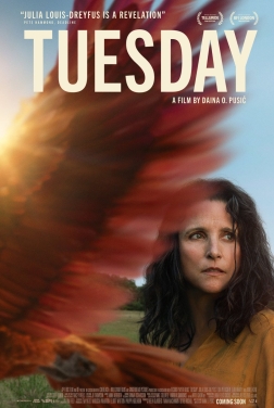 Tuesday (2024)