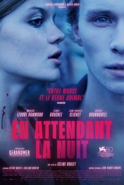 En attendant la nuit (2024)